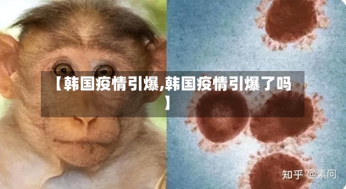 【韩国疫情引爆,韩国疫情引爆了吗】-第2张图片