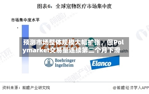 预测市场整体规模大幅扩张，但Polymarket交易量连续第二个月下滑-第2张图片