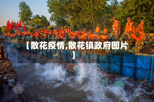 【散花疫情,散花镇政府图片】-第2张图片