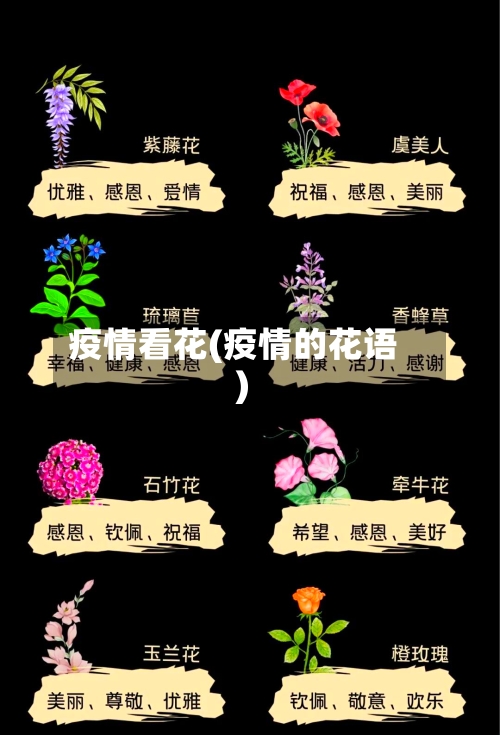 疫情看花(疫情的花语)-第3张图片