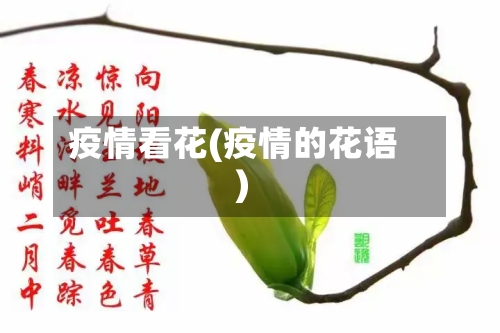 疫情看花(疫情的花语)-第2张图片
