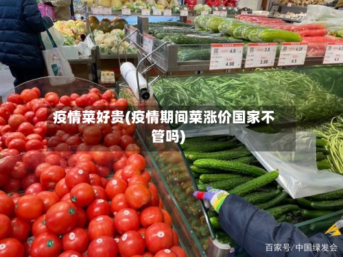 疫情菜好贵(疫情期间菜涨价国家不管吗)