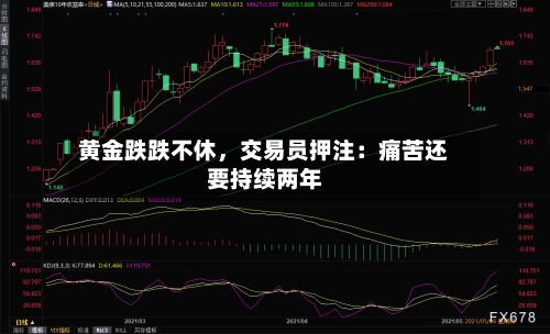 黄金跌跌不休	，交易员押注：痛苦还要持续两年-第3张图片