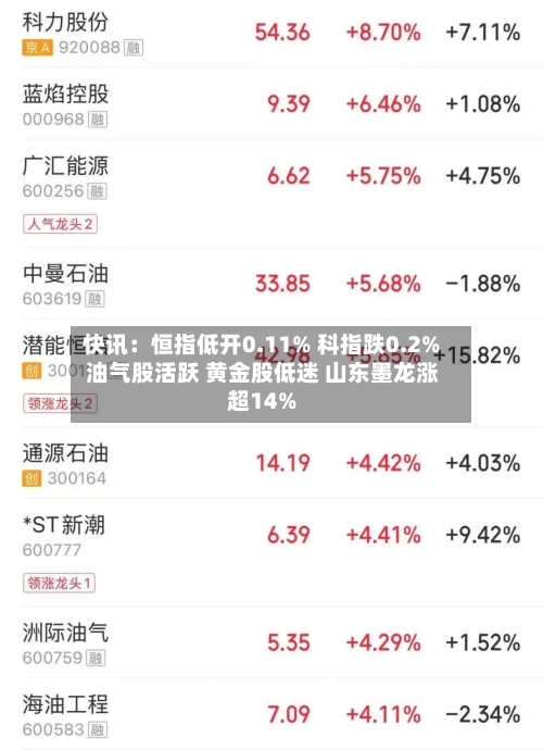 快讯:恒指低开0.11% 科指跌0.2% 油气股活跃 黄金股低迷 山东墨龙涨超14%