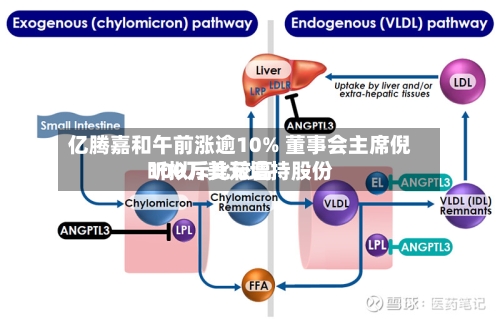 亿腾嘉和午前涨逾10% 董事会主席倪昕拟斥比较高
100万美元增持股份-第2张图片
