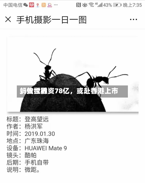 蚂蚁世界
,传拟融资78亿,或赴香港上市