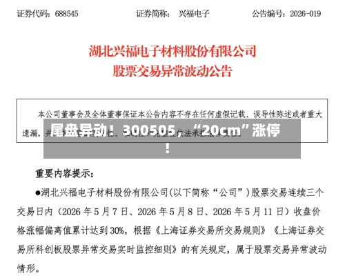 尾盘异动！300505，“20cm”涨停！-第2张图片