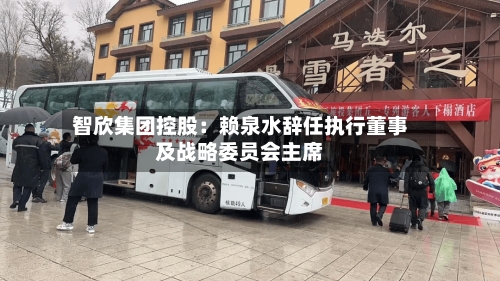 智欣集团控股：赖泉水辞任执行董事及战略委员会主席-第2张图片