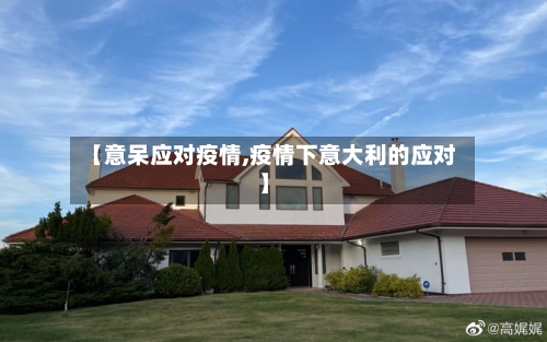 【意呆应对疫情,疫情下意大利的应对】-第2张图片