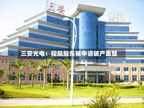 三安光电：控股股东被申请破产重整